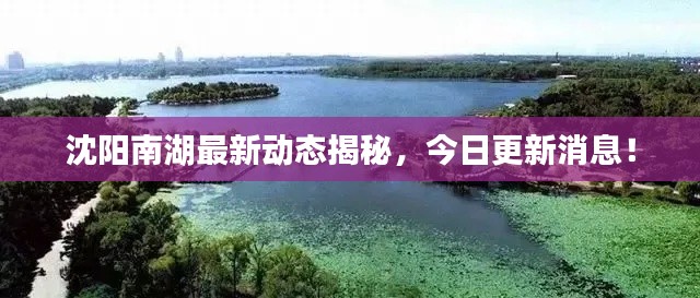 食而不化 第3页