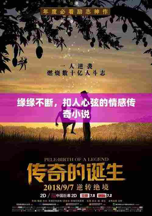 缘缘不断,扣人心弦的情感传奇小说