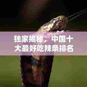 独家揭秘，中国十大最好吃辣条排名榜单！