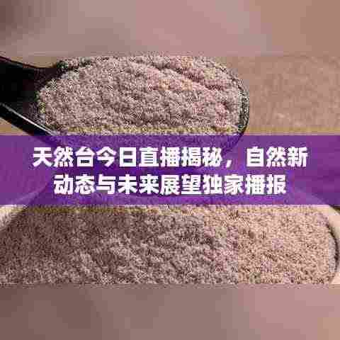 天然台今日直播揭秘,自然新动态与未来展望独家播报