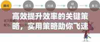 高效提升效率的关键策略，实用策略助你飞速进步！
