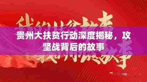 贵州大扶贫行动深度揭秘,攻坚战背后的故事