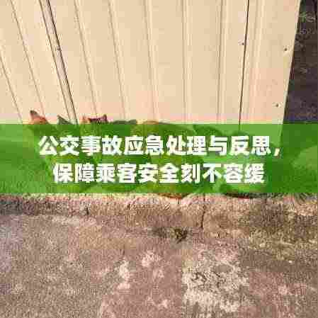 公交事故应急处理与反思，保障乘客安全刻不容缓
