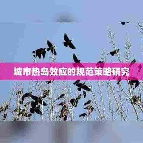 城市热岛效应的规范策略研究