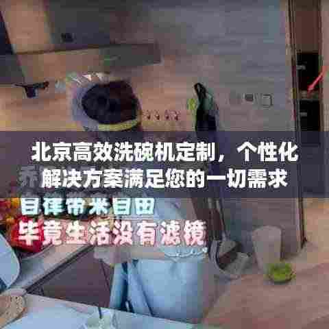 北京高效洗碗机定制,个性化解决方案满足您的一切需求