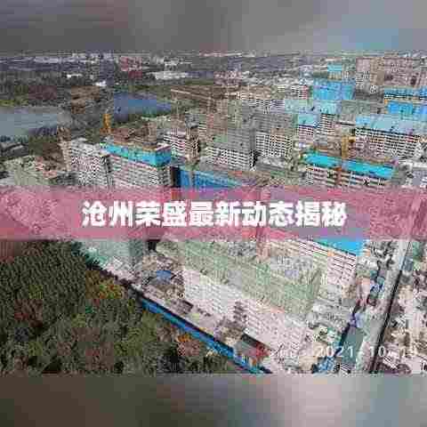 沧州荣盛最新动态揭秘