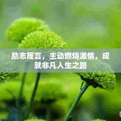 励志箴言,主动燃烧激情,成就非凡人生之路