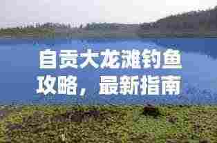 自贡大龙滩钓鱼攻略,最新指南一网打尽!