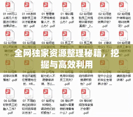 全网独家资源整理秘籍,挖掘与高效利用