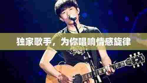 独家歌手，为你唱响情感旋律