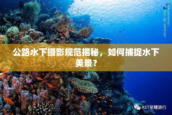 公路水下摄影规范揭秘,如何捕捉水下美景?