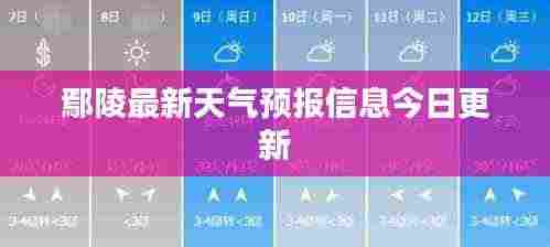 鄢陵最新天气预报信息今日更新
