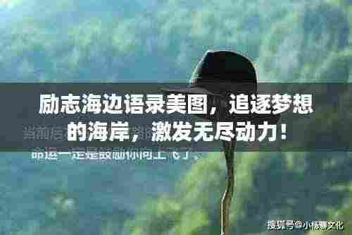 励志海边语录美图,追逐梦想的海岸,激发无尽动力!