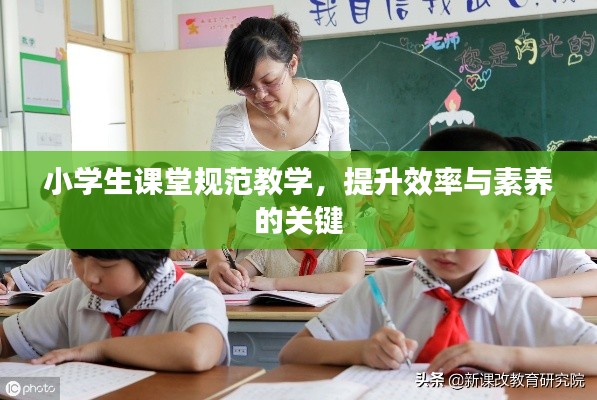 小学生课堂规范教学，提升效率与素养的关键
