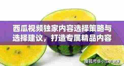 西瓜视频独家内容选择策略与选择建议，打造专属精品内容吸引眼球