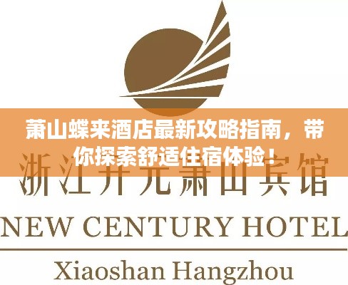 萧山蝶来酒店最新攻略指南,带你探索舒适住宿体验!