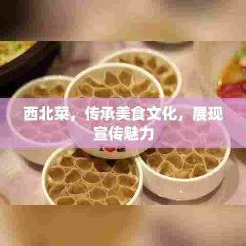 西北菜，传承美食文化，展现宣传魅力