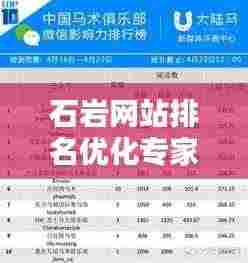 石岩网站排名优化专家,助力提升在线业务影响力
