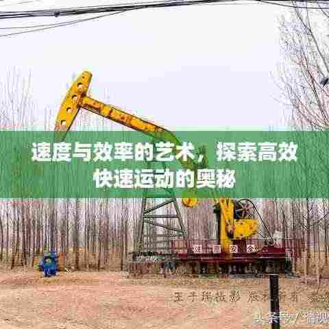 速度与效率的艺术,探索高效快速运动的奥秘
