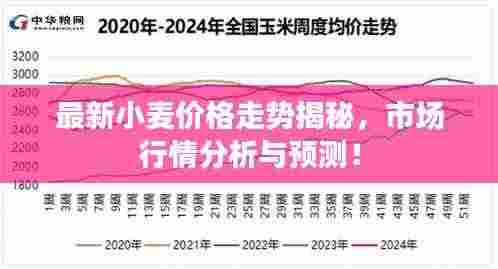 最新小麦价格走势揭秘，市场行情分析与预测！