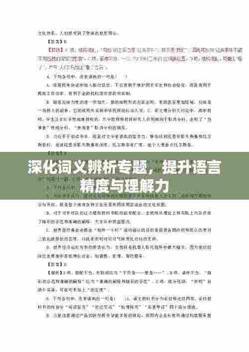 深化词义辨析专题,提升语言精度与理解力