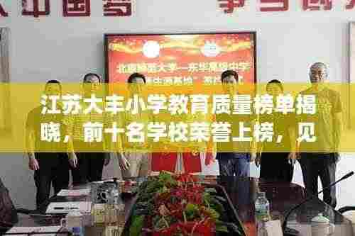 江苏大丰小学教育质量榜单揭晓,前十名学校荣誉上榜,见证教育质量之巅