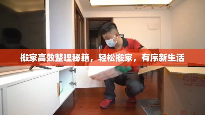 搬家高效整理秘籍，轻松搬家，有序新生活