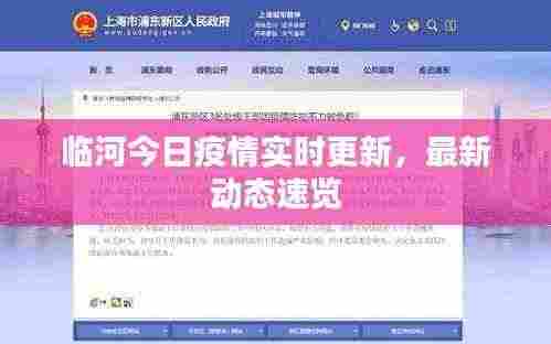 临河今日疫情实时更新,最新动态速览