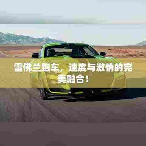 雪佛兰跑车，速度与激情的完美融合！