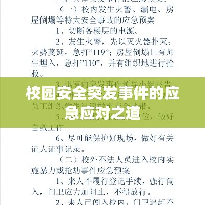 校园安全突发事件的应急应对之道