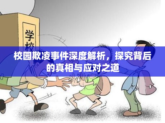 校园欺凌事件深度解析,探究背后的真相与应对之道