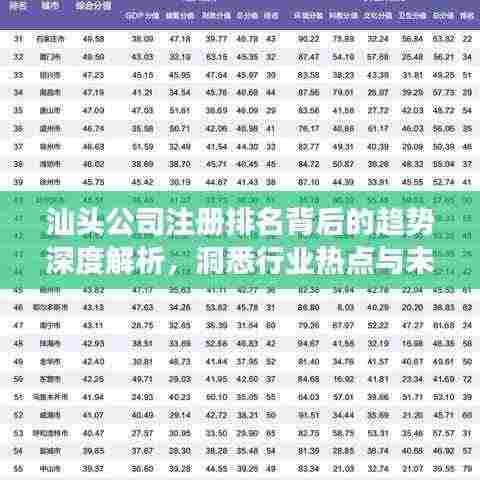 汕头公司注册排名背后的趋势深度解析,洞悉行业热点与未来发展方向