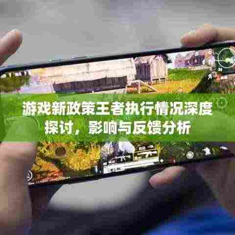 游戏新政策王者执行情况深度探讨,影响与反馈分析