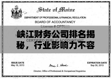 峡江财务公司排名揭秘,行业影响力不容小觑