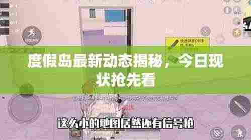 度假岛最新动态揭秘，今日现状抢先看