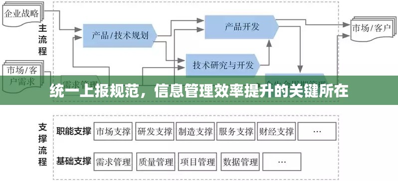 统一上报规范，信息管理效率提升的关键所在