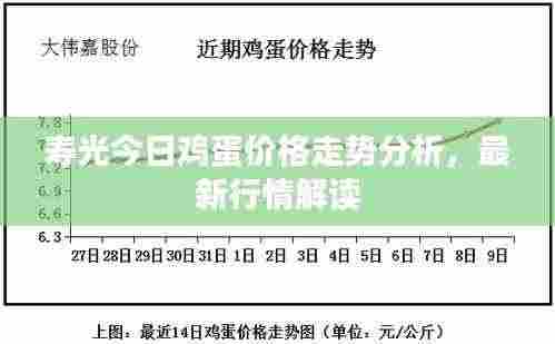 寿光今日鸡蛋价格走势分析，最新行情解读