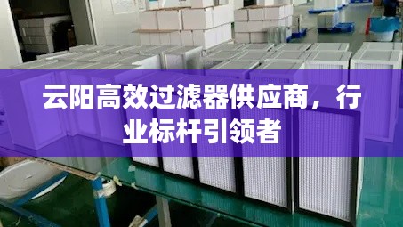 云阳高效过滤器供应商,行业标杆引领者