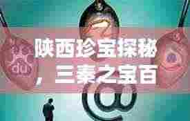 陕西珍宝探秘,三秦之宝百度一览