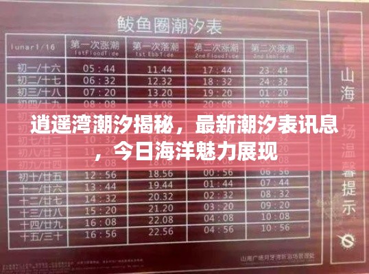 逍遥湾潮汐揭秘,最新潮汐表讯息,今日海洋魅力展现