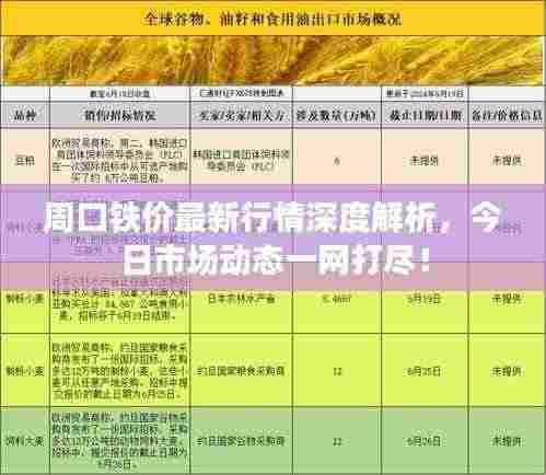 周口铁价最新行情深度解析，今日市场动态一网打尽！