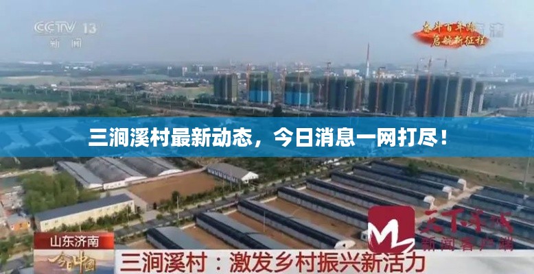 三涧溪村最新动态，今日消息一网打尽！
