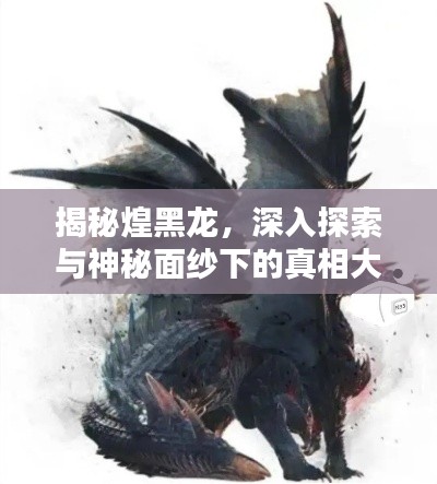 揭秘煌黑龙,深入探索与神秘面纱下的真相大解密