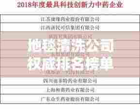 地毯清洗公司权威排名榜单揭晓，行业佼佼者深度解析！