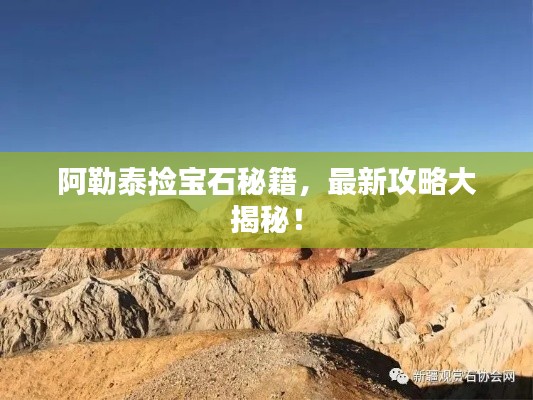 阿勒泰捡宝石秘籍，最新攻略大揭秘！
