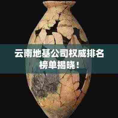 云南地基公司权威排名榜单揭晓!