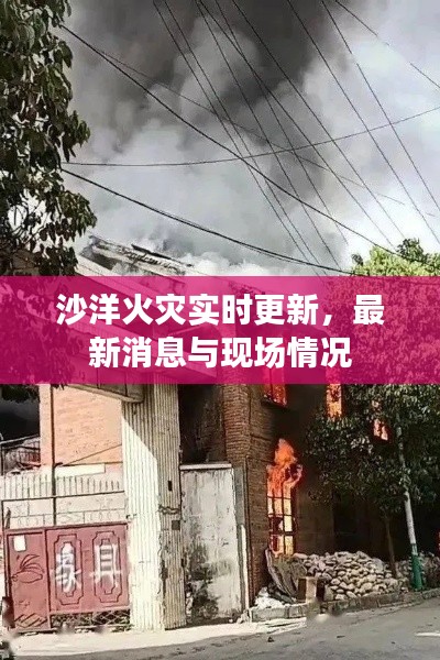 沙洋火灾实时更新,最新消息与现场情况