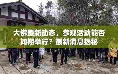 大佛最新动态，参观活动能否如期举行？最新消息揭秘