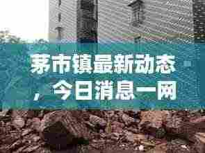 茅市镇最新动态,今日消息一网打尽!