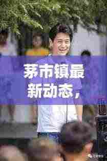 茅市镇最新动态,今日消息一网打尽!